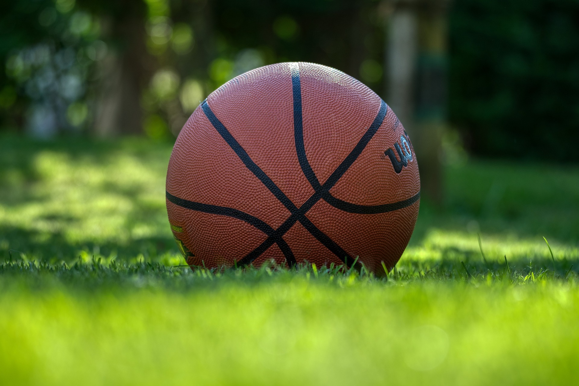 A basketball sitting on some grass on a sunny day