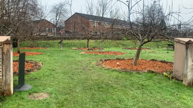 The image depicts the orchard in Ordsall Hall which was the setting for a wassailing event on January 19,.